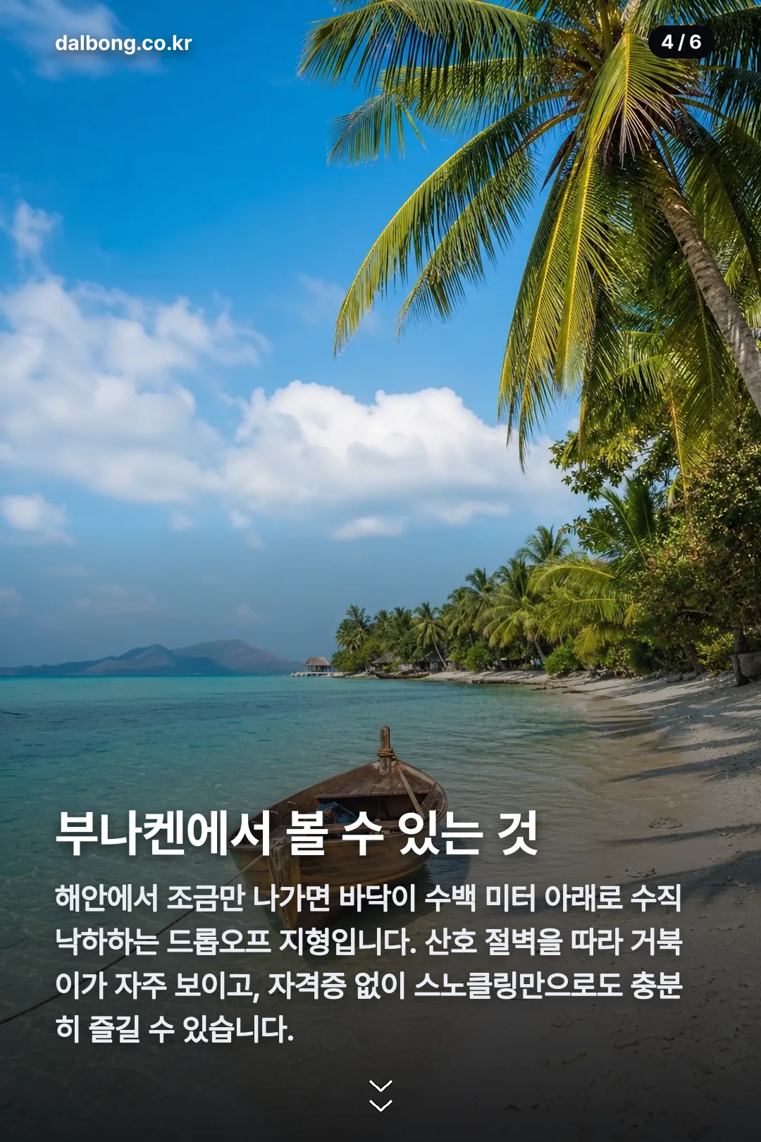 인니마나도 카드뉴스 4