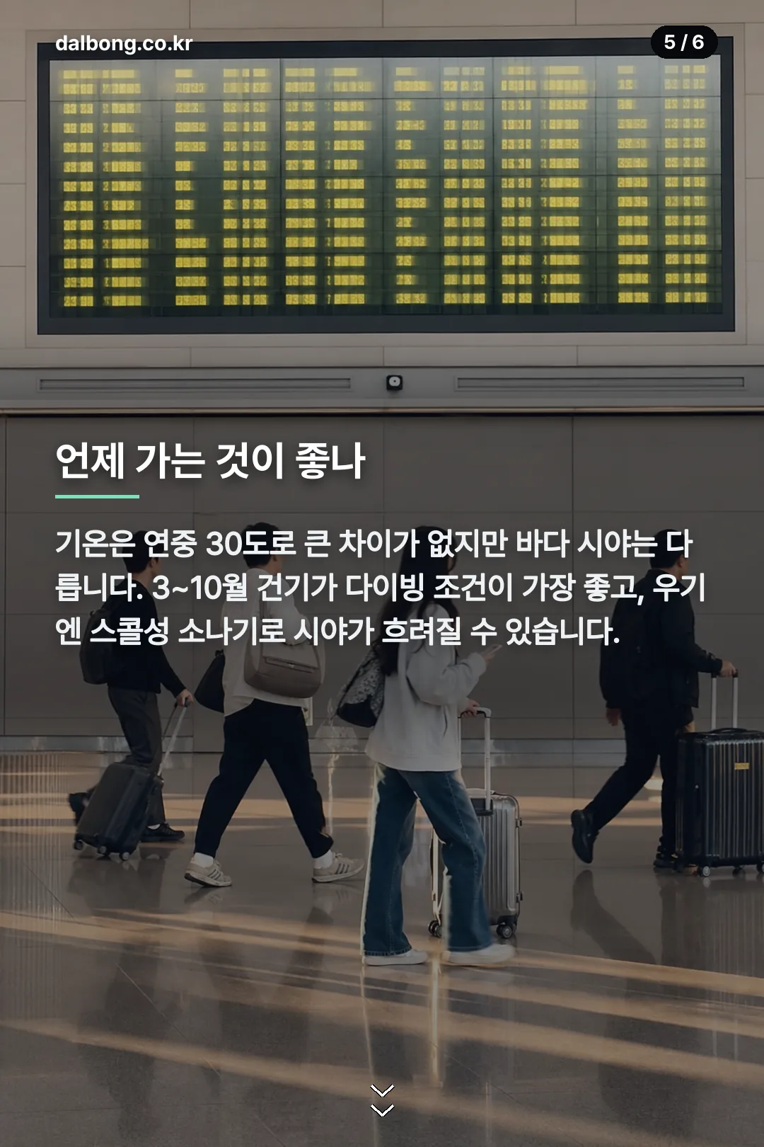 인니마나도 카드뉴스 5