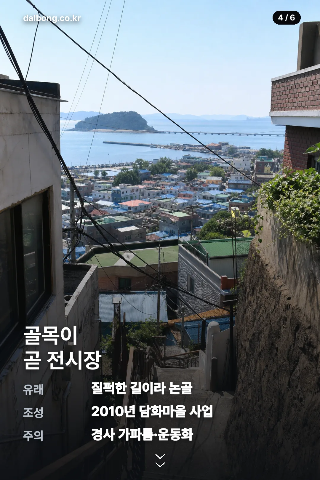 묵호 가볼만한곳 정보 카드 4