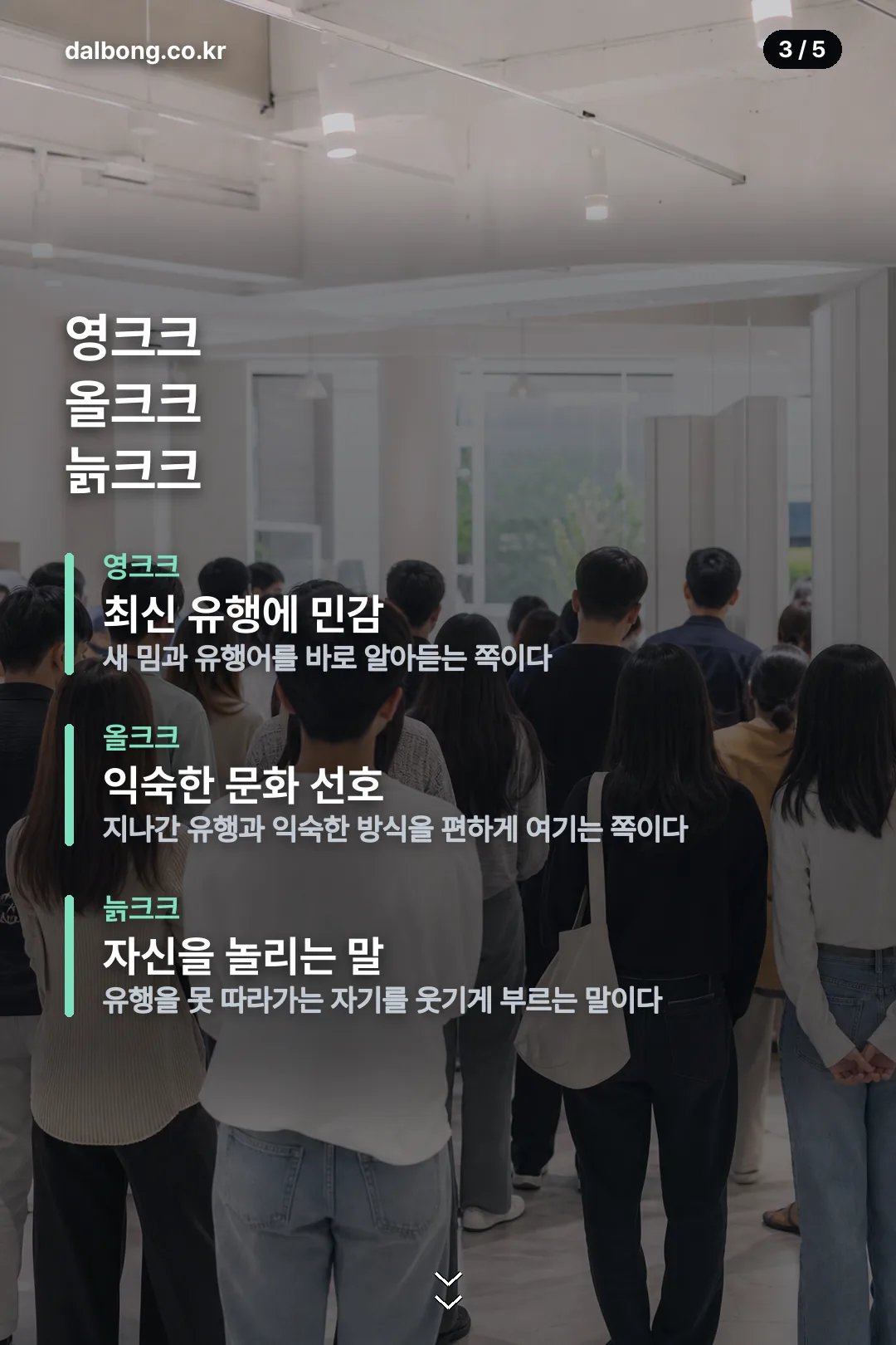 늙크크 영크크 뜻 정리 카드 3