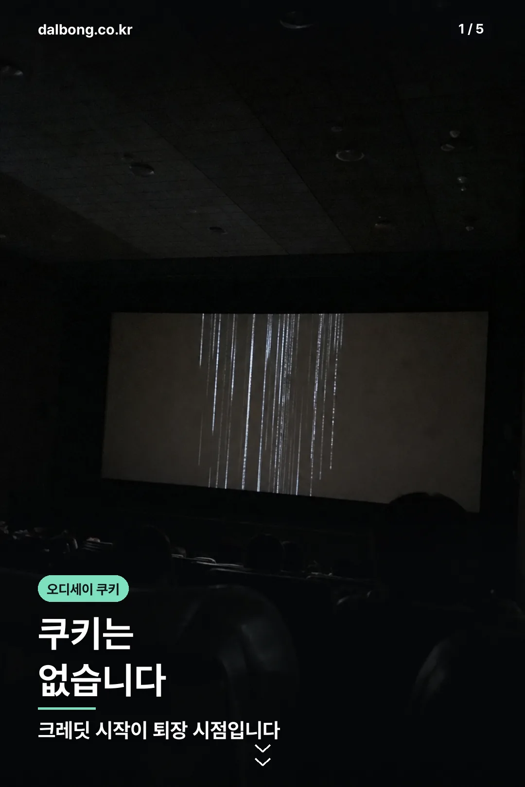 오디세이 쿠키 영상 유무 안내 카드 1