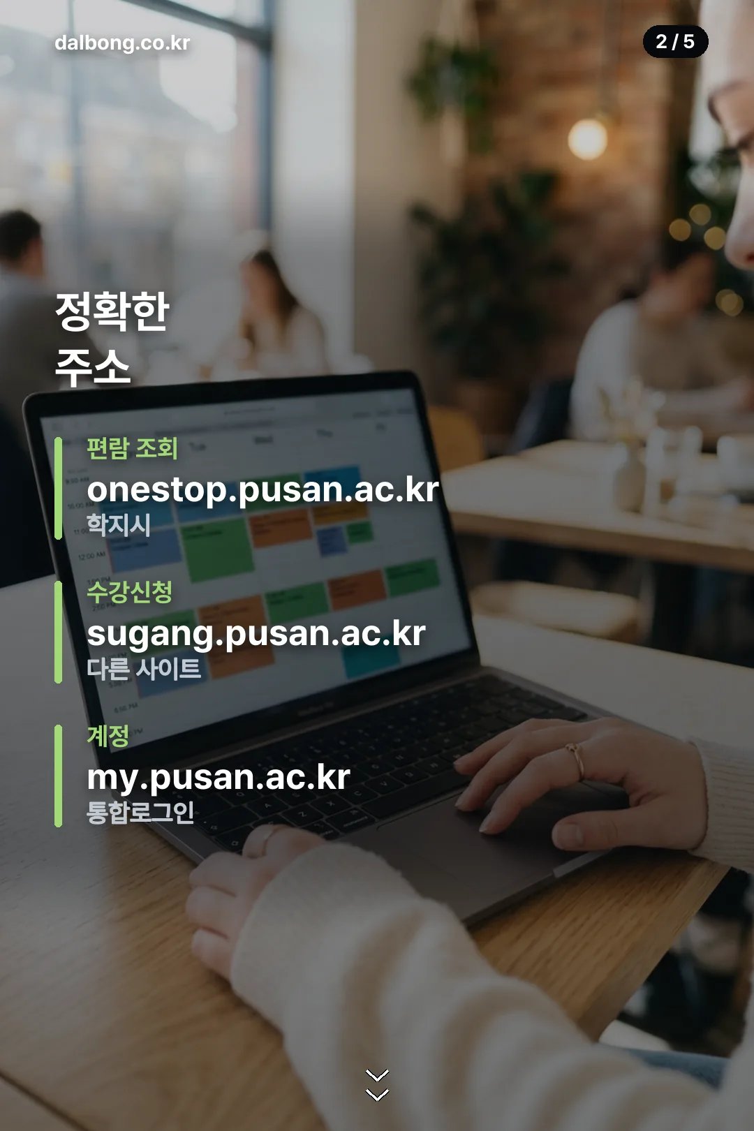 부산대 수강편람 안내 카드 2