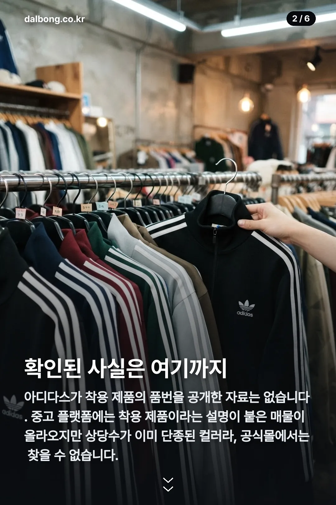 류진 아디다스 져지 카드뉴스 2