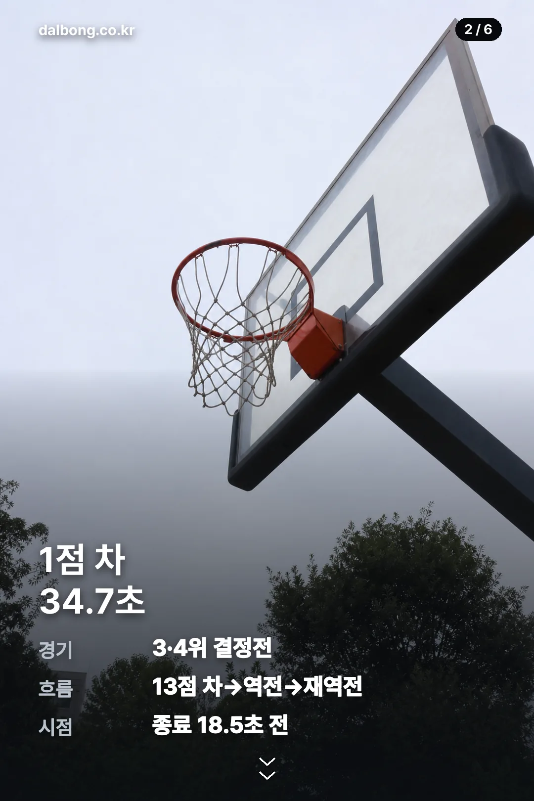 서장훈 심판 오심에 격분 카드뉴스 2