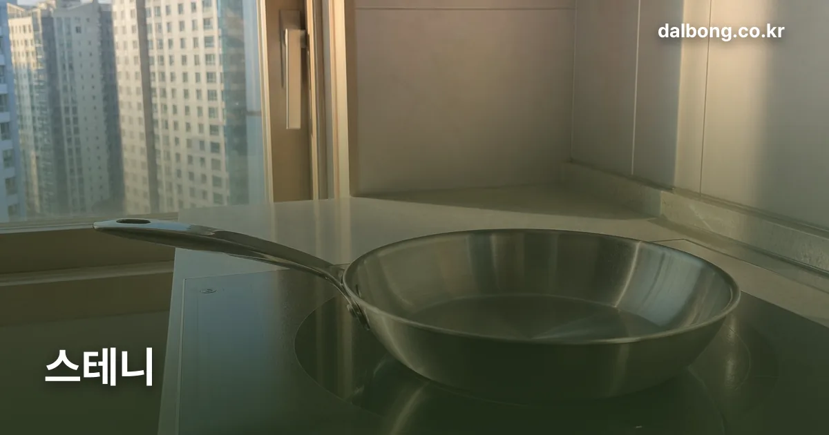 stenny stainless pan thumb