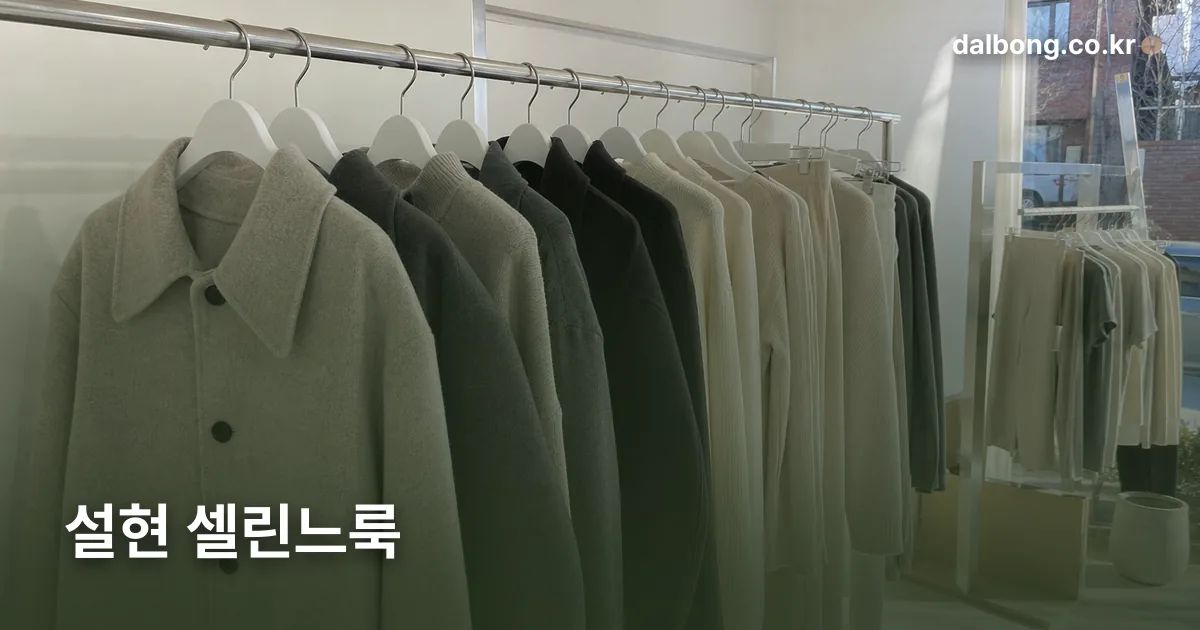 sulhyun celine look style thumb