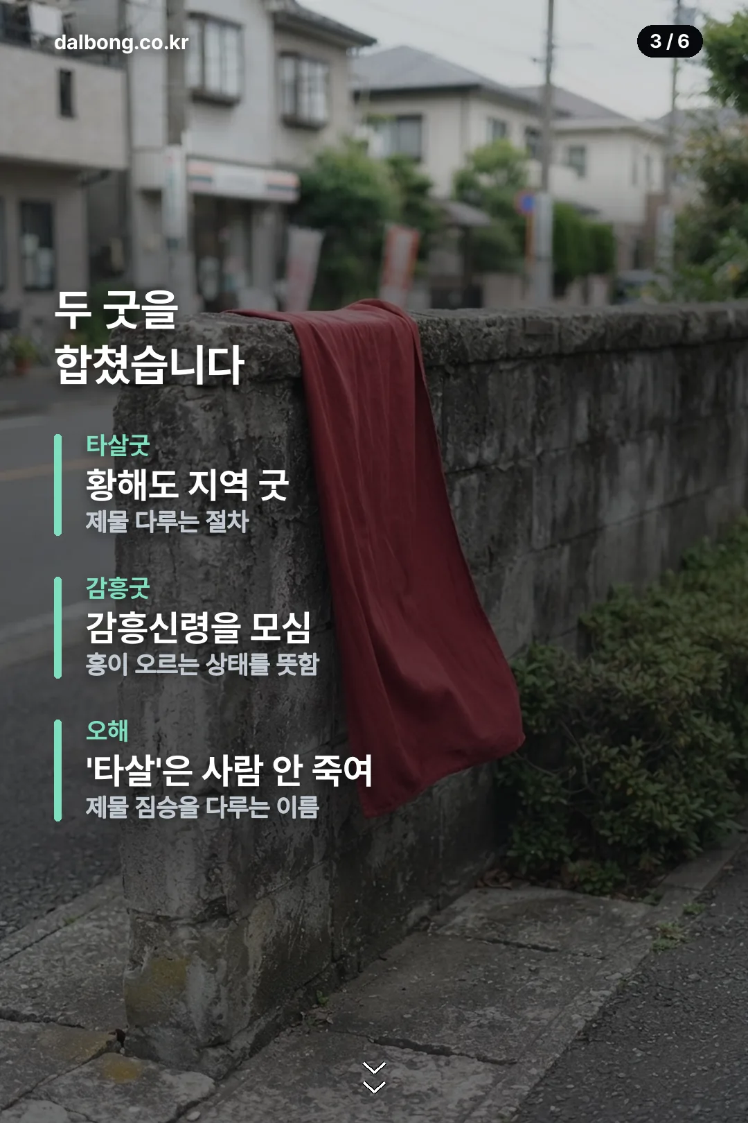 타살감흥 할아비 카드뉴스 3