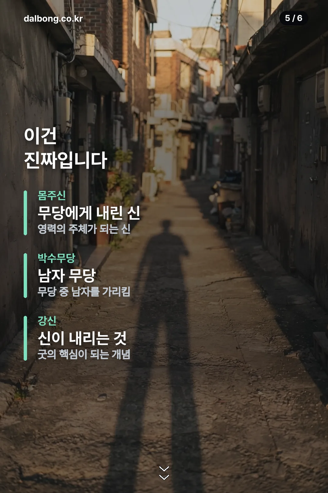 타살감흥 할아비 카드뉴스 5