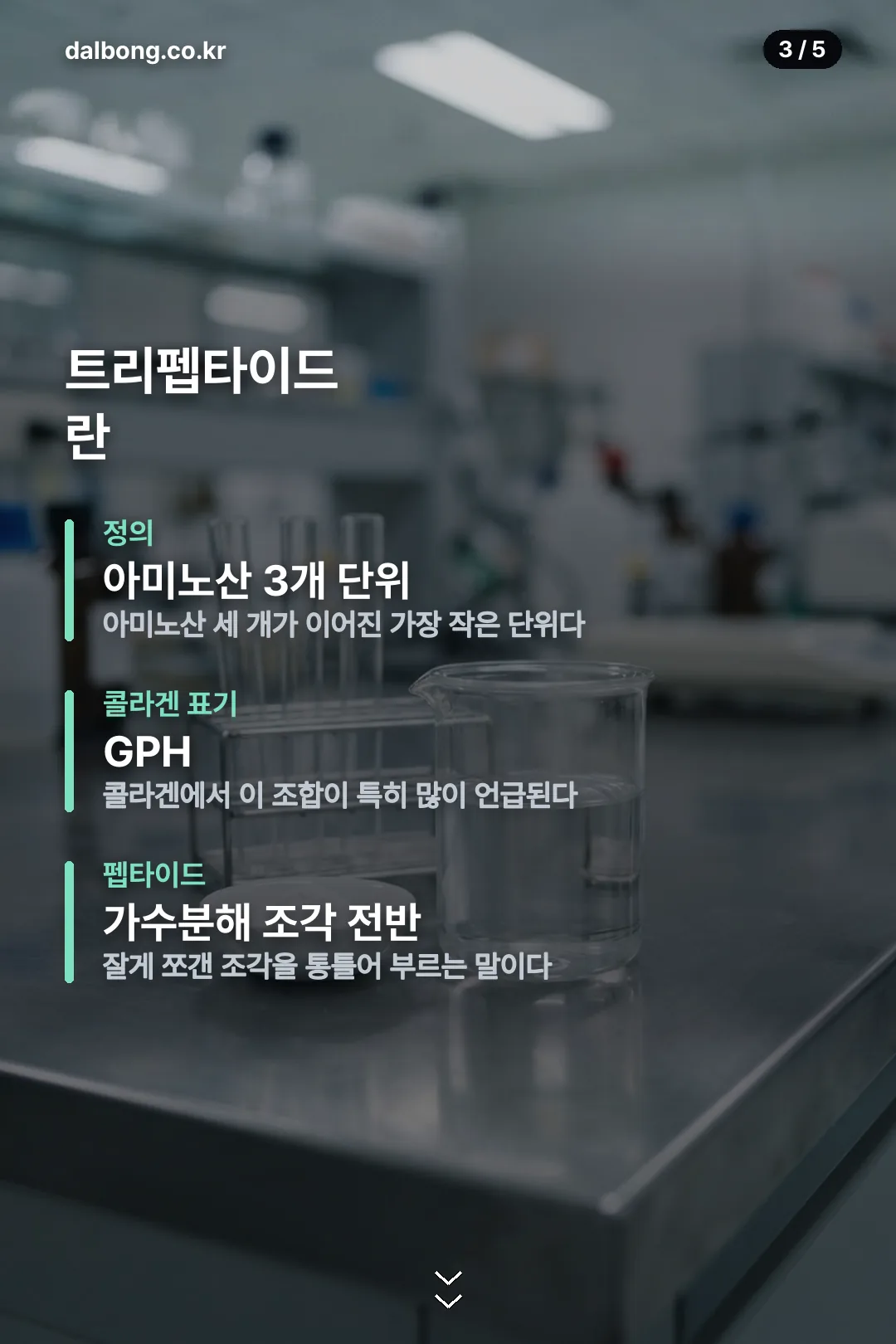 트리펩타인 콜라겐 정보 카드 3