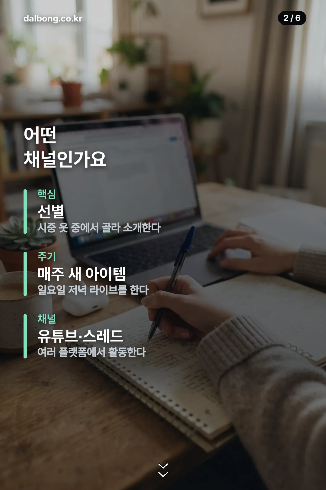 바닐라윤 카드뉴스 2
