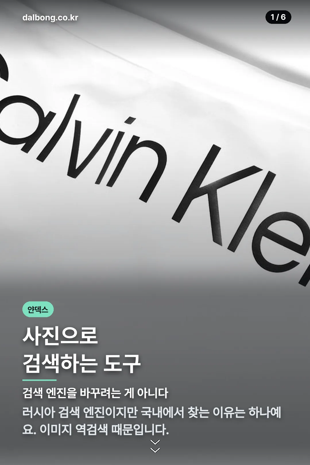 얀덱스 카드뉴스 1