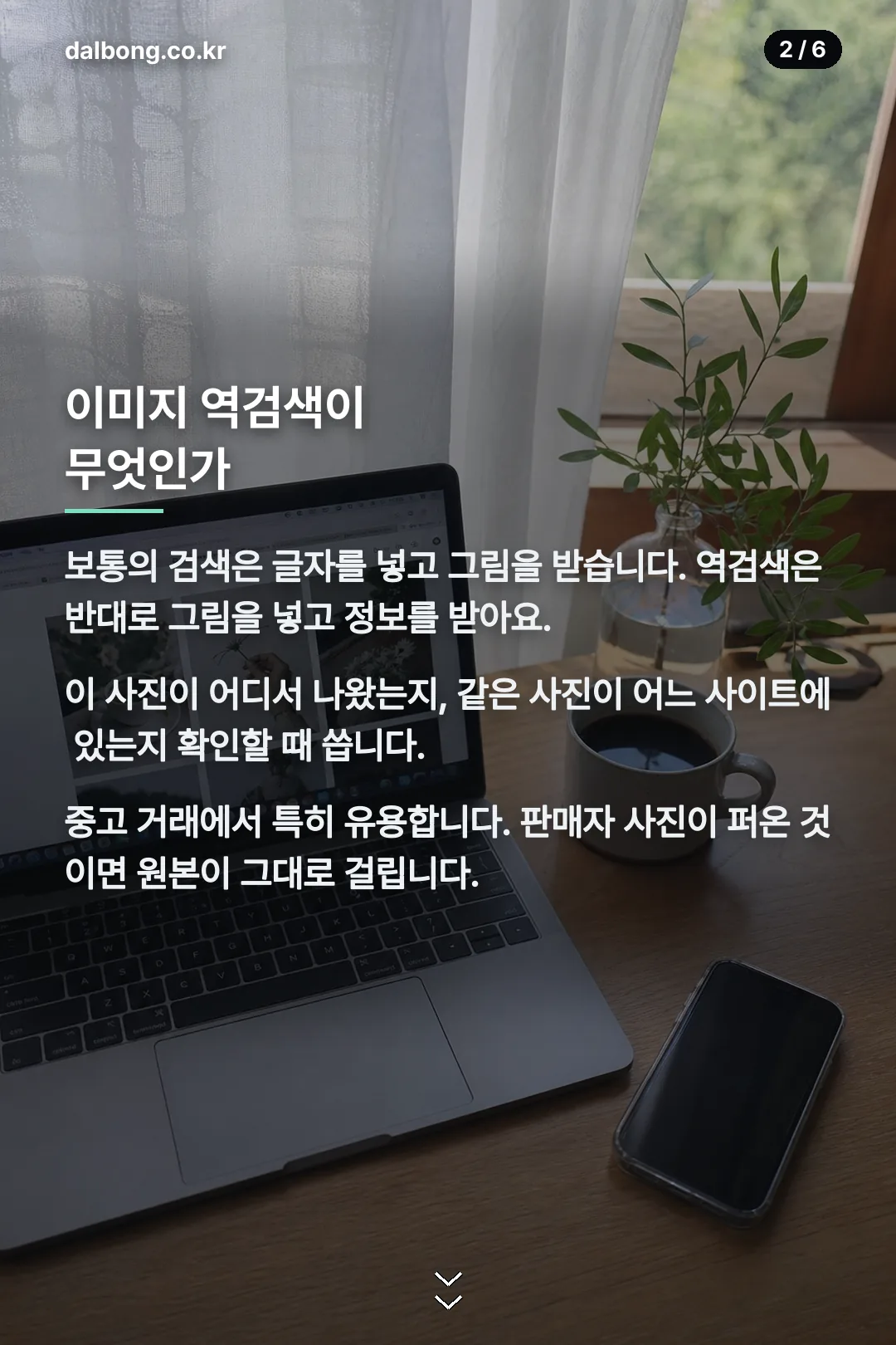얀덱스 카드뉴스 2
