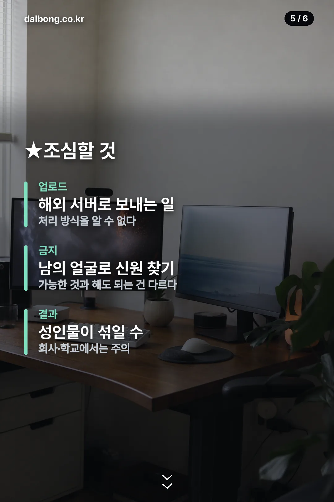 얀덱스 카드뉴스 5