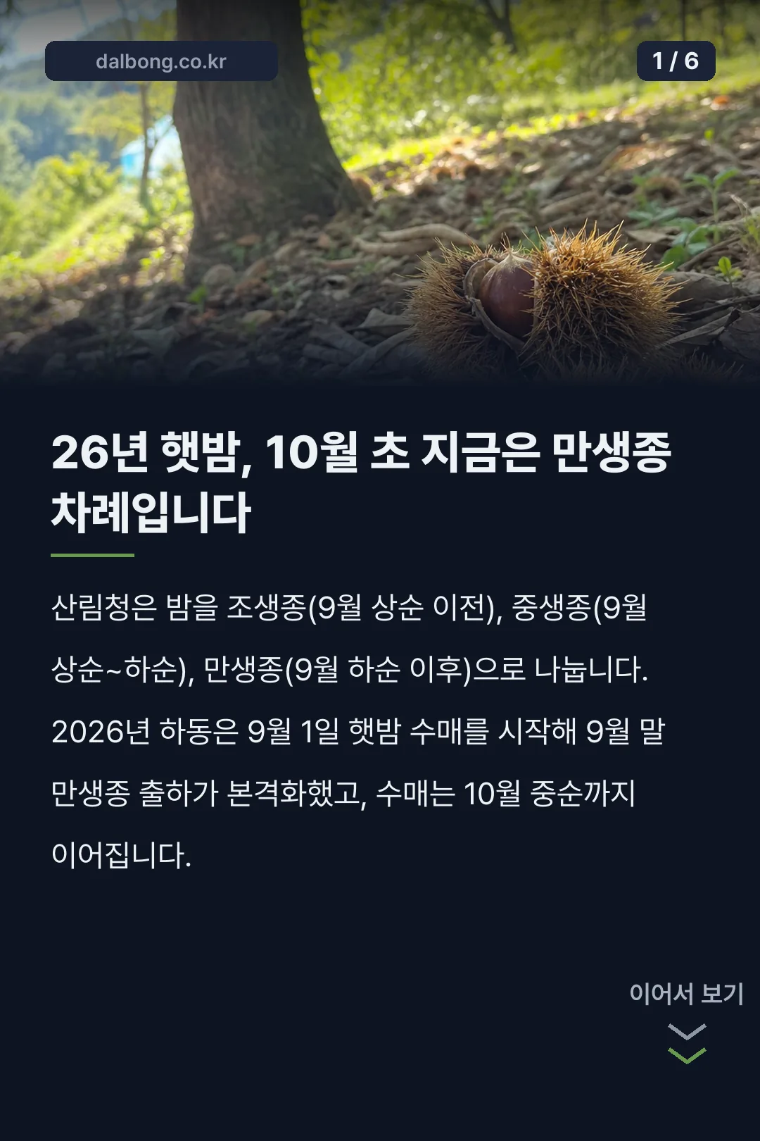 2026년 햇밤 수확시기 카드뉴스 1