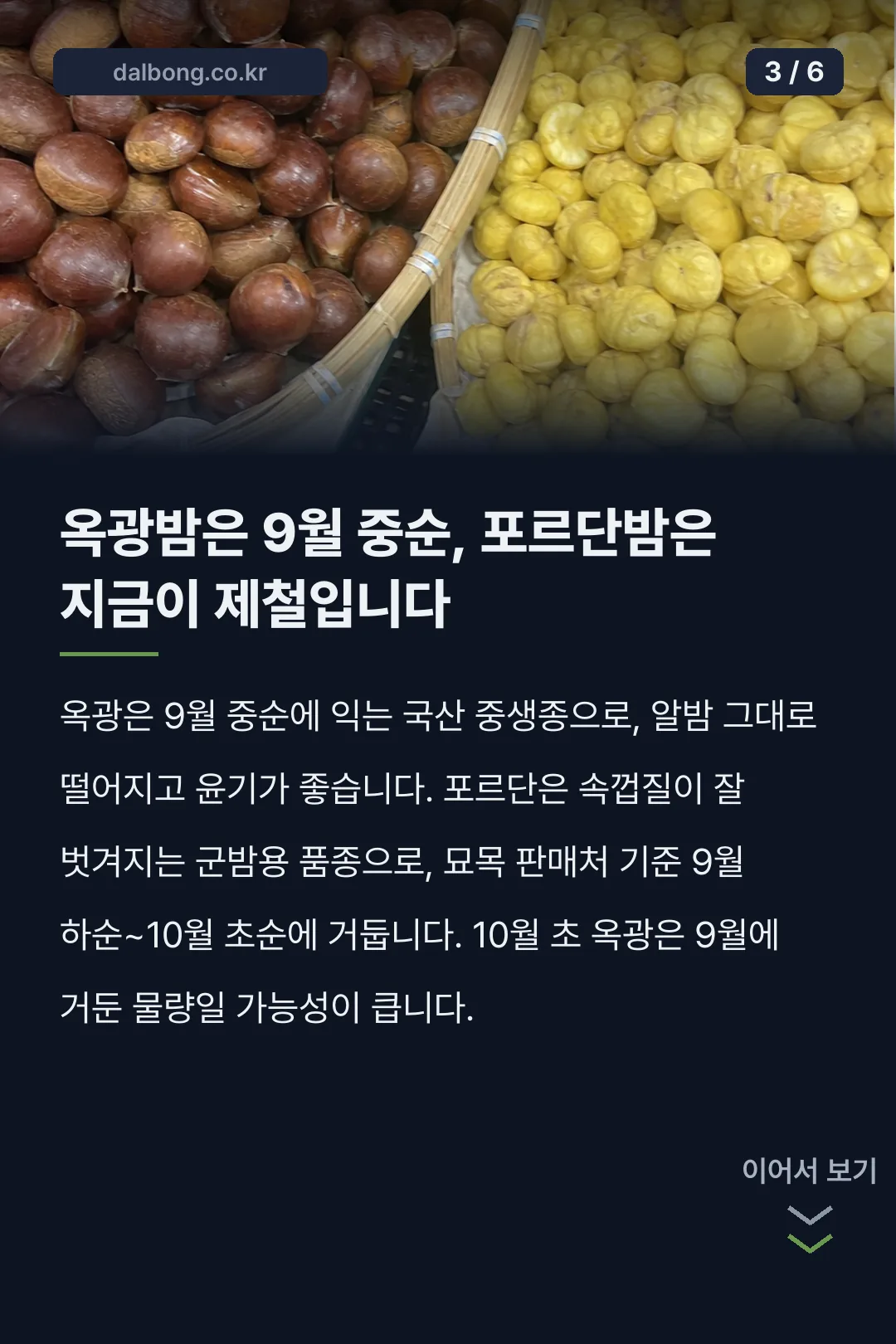 2026년 햇밤 수확시기 카드뉴스 3