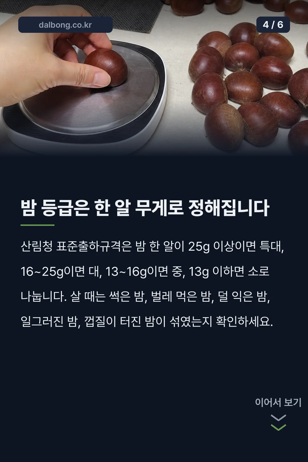 2026년 햇밤 수확시기 카드뉴스 4