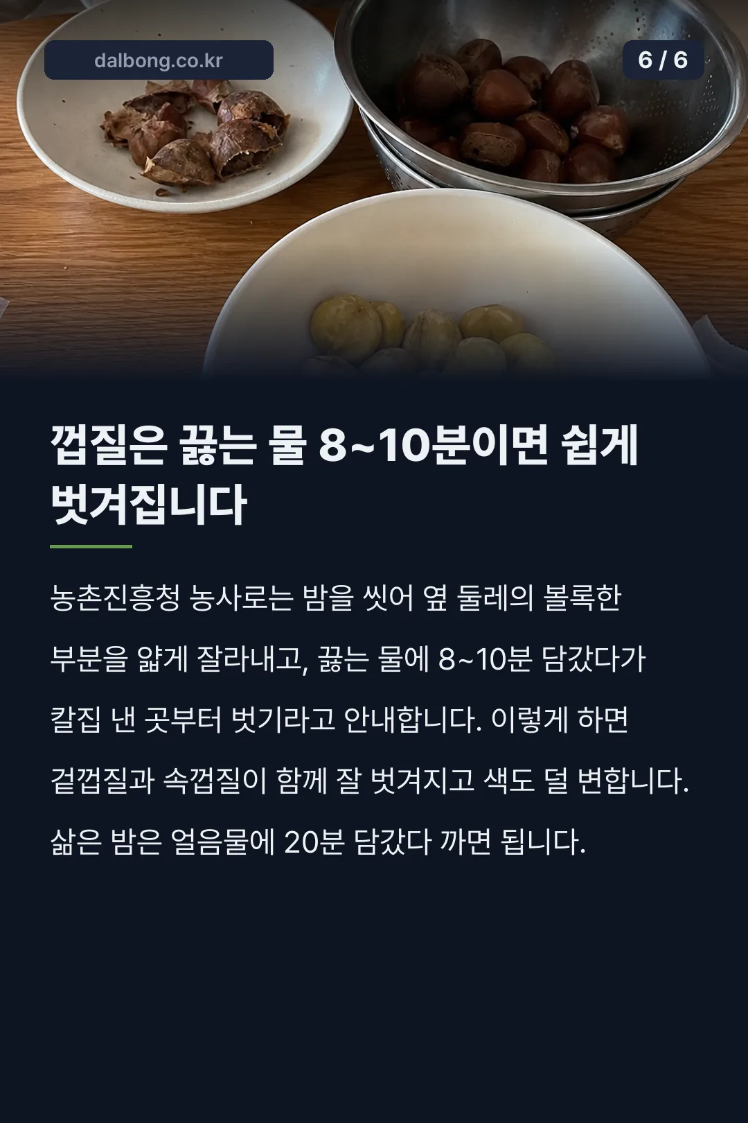 2026년 햇밤 수확시기 카드뉴스 6