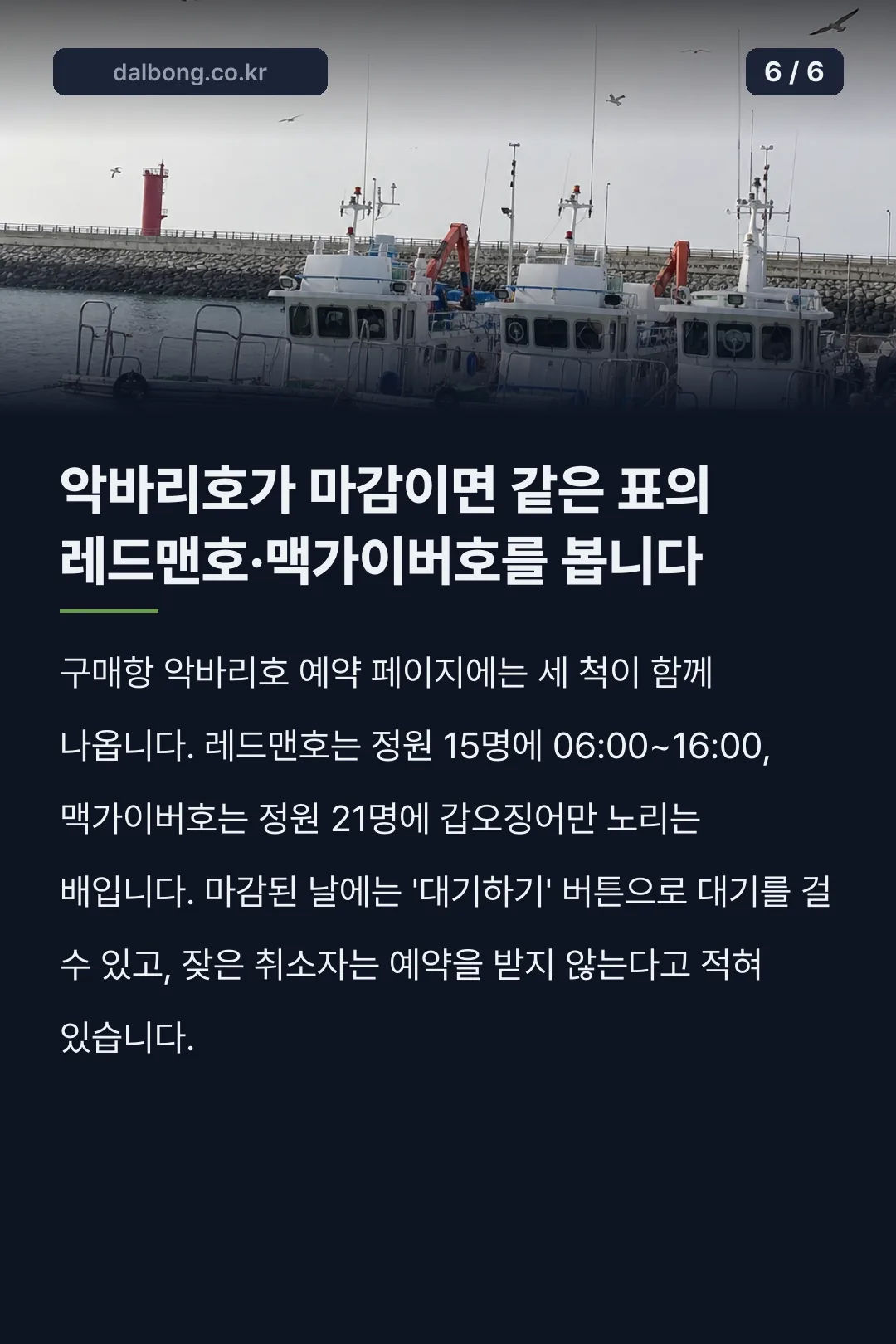 태안 구매항 악바리호 선상낚시 안내 카드뉴스 6