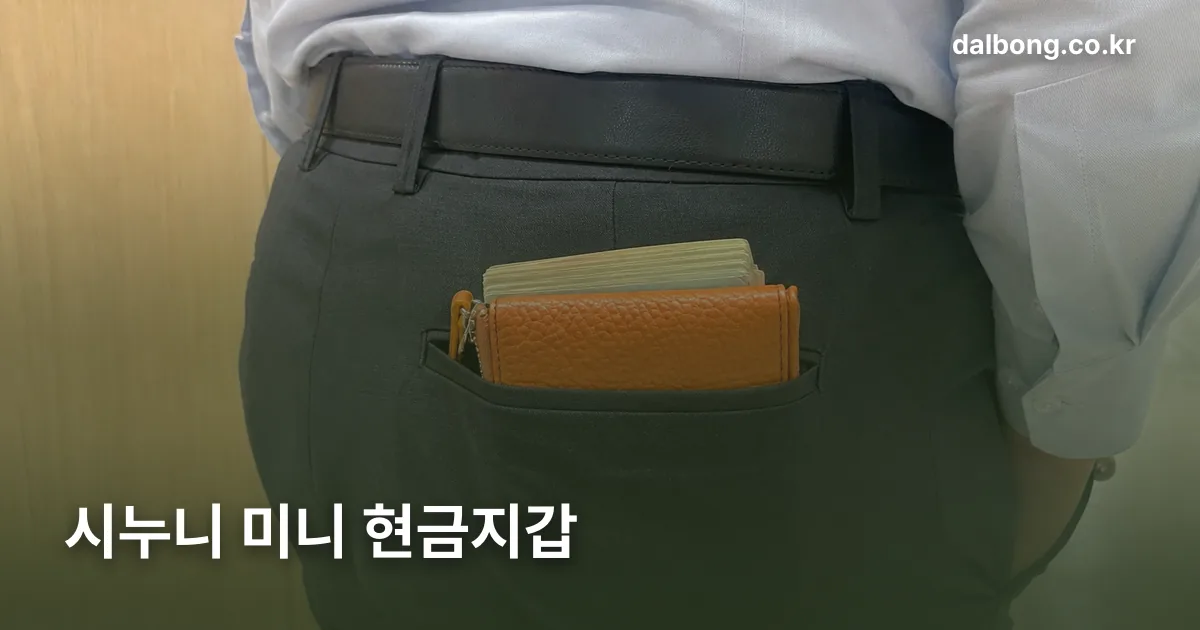 sinuni mini cash wallet thumb