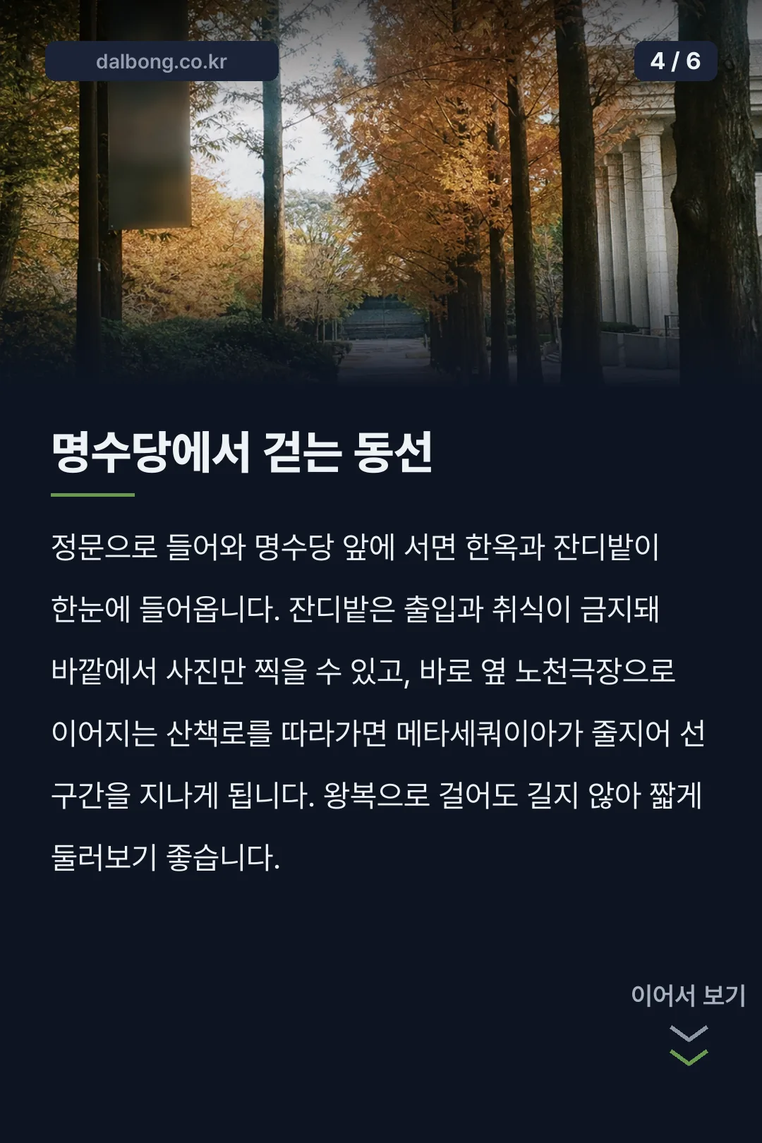 용인 명수당 단풍 카드뉴스 4